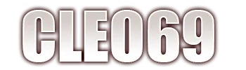 CLEO69
